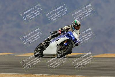 media/Jan-14-2023-SoCal Trackdays (Sat) [[497694156f]]/Turn 9 Set 2 (1130am)/